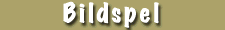 G� till bildspelet
